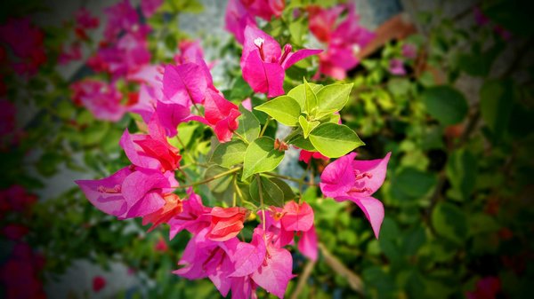 Élevez Votre Célébration : Conseils Créatifs pour Envelopper Votre Fête d'une Ambiance Festive avec des Bougies